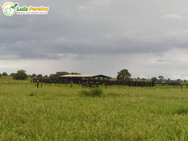 Venda em Zona Rural - Sonora