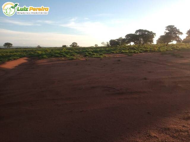 #2577 - Fazenda para Venda em Peixe - TO - 2