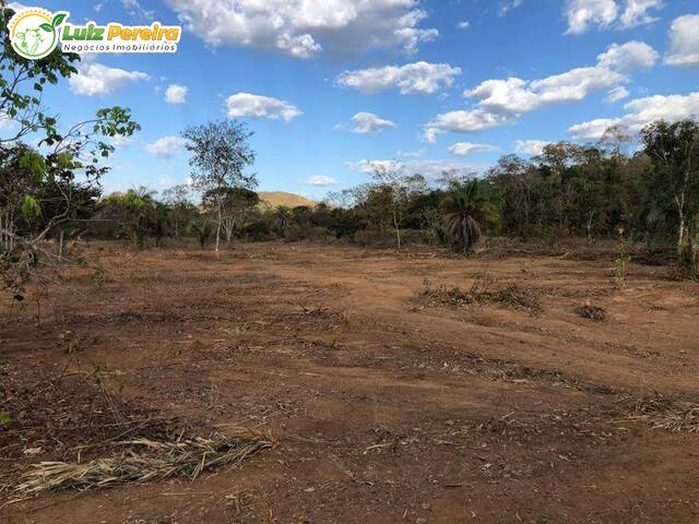 #2577 - Fazenda para Venda em Peixe - TO - 3