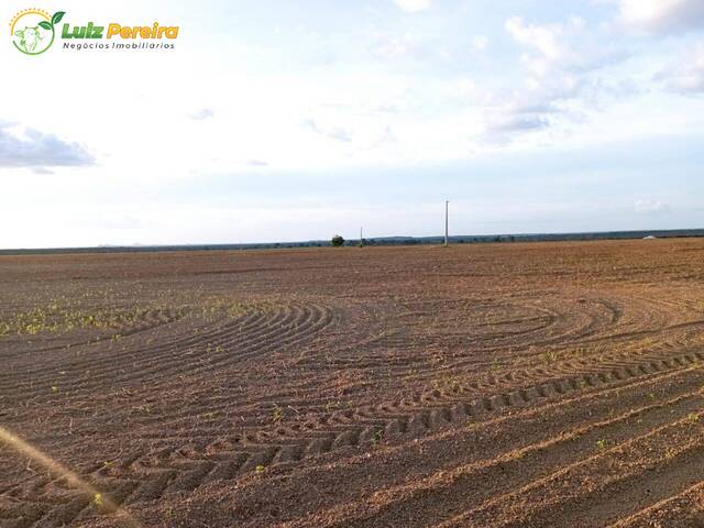 #2578 - Fazenda para Venda em São Valério da Natividade - TO - 1