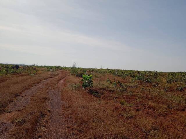 #2578 - Fazenda para Venda em São Valério da Natividade - TO - 3