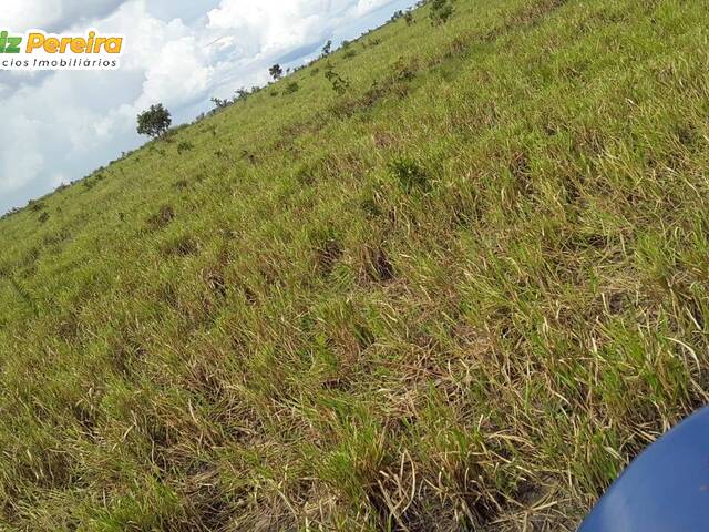 Venda em Zona Rural - Centenário