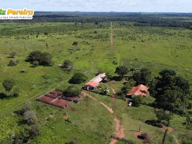 Venda em Zona Rural - Goiatins