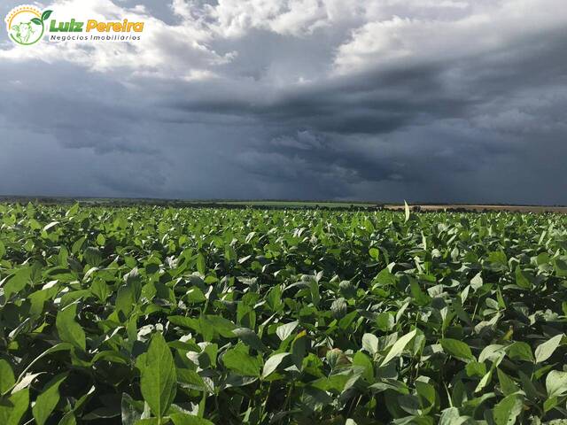 #2582 - Fazenda para Venda em Guaraí - TO - 3