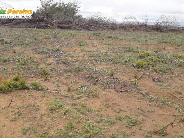 #2583 - Fazenda para Venda em Santa Rita do Tocantins - TO - 2