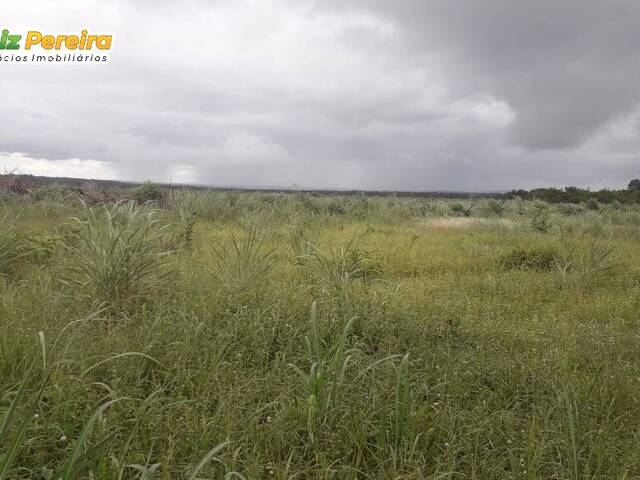 Venda em Zona Rural - Santa Rita do Tocantins