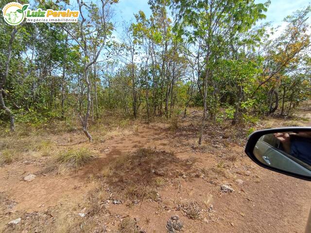 #2589 - Fazenda para Venda em Dois Irmãos do Tocantins - TO - 3