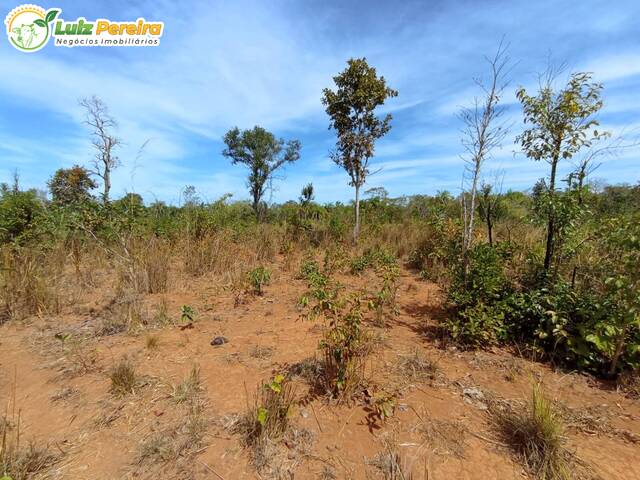 #2589 - Fazenda para Venda em Dois Irmãos do Tocantins - TO - 1