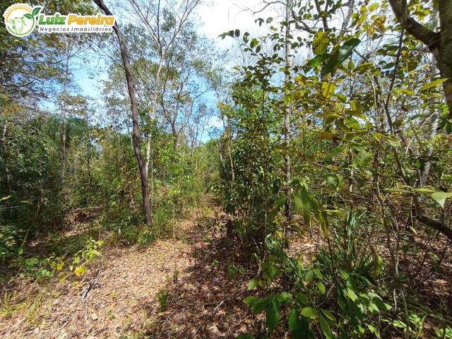 #2589 - Fazenda para Venda em Dois Irmãos do Tocantins - TO - 2