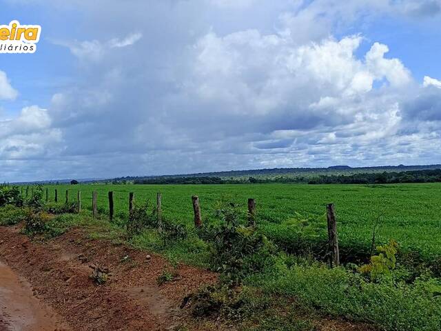 #2539 - Fazenda para Venda em Grajaú - MA - 1