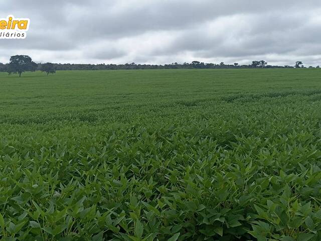 #2539 - Fazenda para Venda em Grajaú - MA - 2