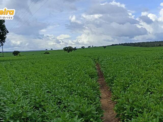 #2539 - Fazenda para Venda em Grajaú - MA - 3