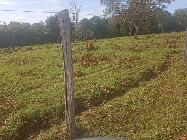 #2592 - Fazenda para Venda em Araguaína - TO - 2