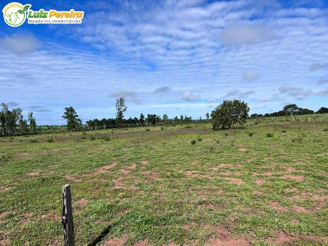 Venda em Zona Rural - Presidente Kennedy