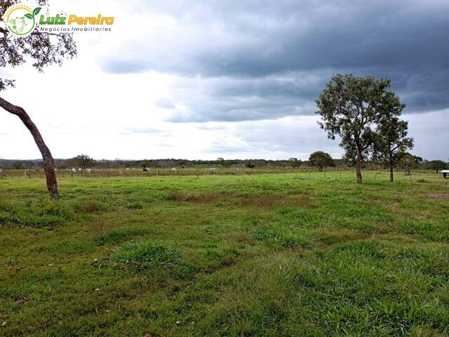 #2594 - Fazenda para Venda em Dois Irmãos do Tocantins - TO - 2