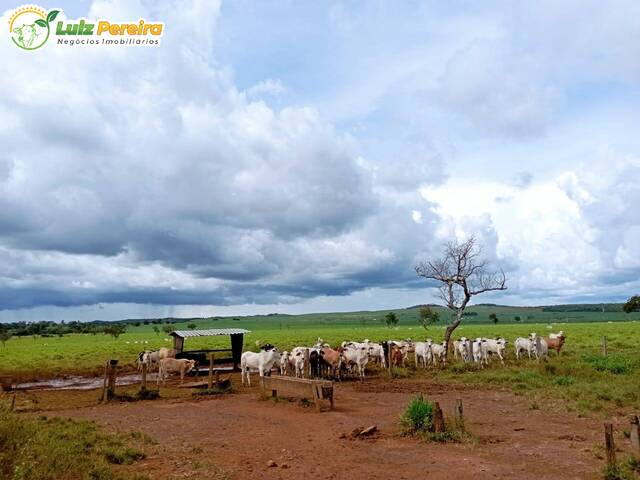 #2594 - Fazenda para Venda em Dois Irmãos do Tocantins - TO