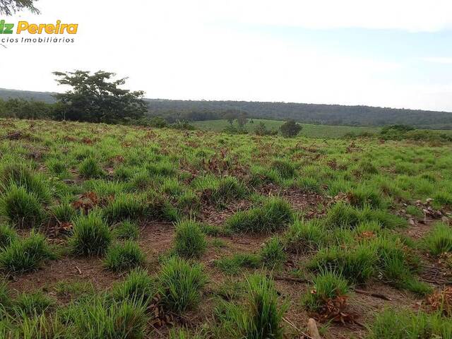 #2565 - Fazenda para Venda em Itaituba - PA - 1