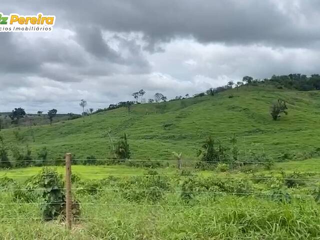 #2537 - Fazenda para Venda em Goianésia do Pará - PA - 3