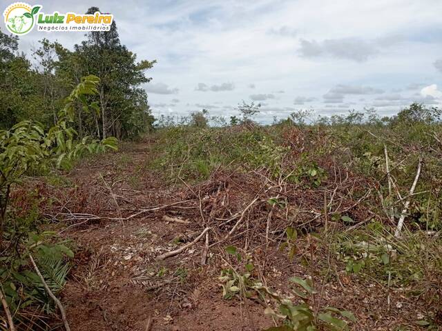 #2529 - Fazenda para Venda em São Valério da Natividade - TO - 2