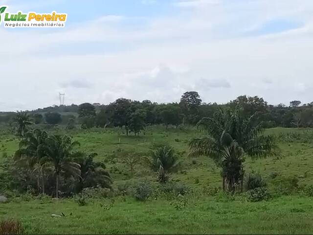 #2525 - Fazenda para Venda em Grajaú - MA