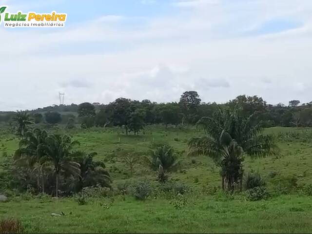 #2525 - Fazenda para Venda em Grajaú - MA - 1