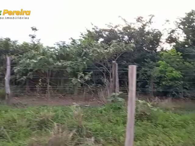 #2524 - Fazenda para Venda em Grajaú - MA - 2