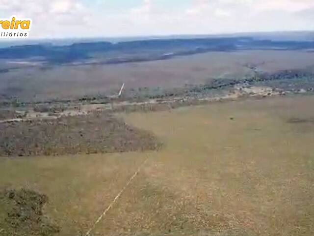 #2503 - Fazenda para Locação em Alto Parnaíba - MA - 2