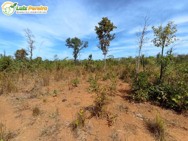 #2417 - Fazenda para Venda em Barra do Corda - MA - 2