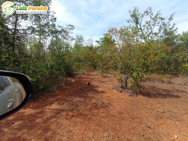 #2417 - Fazenda para Venda em Barra do Corda - MA - 3