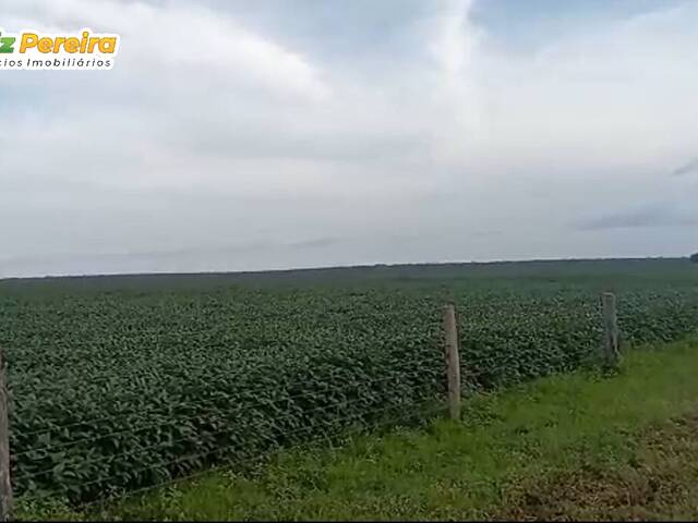 Venda em Zona Rural - Parnarama