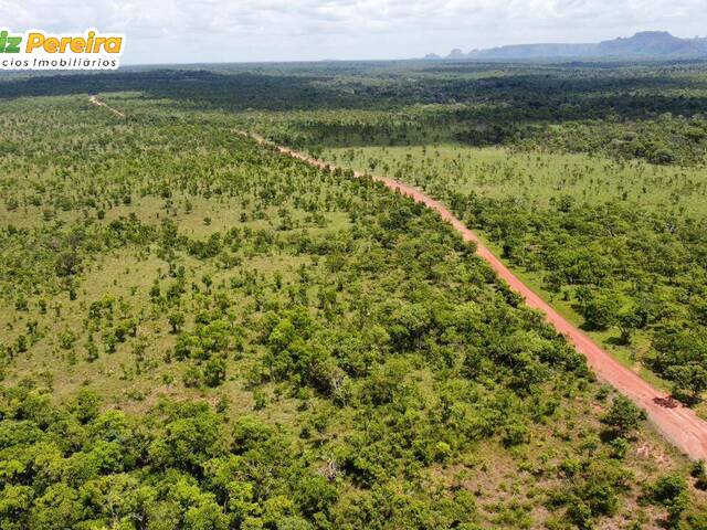 #2595 - Fazenda para Venda em Centenário - TO