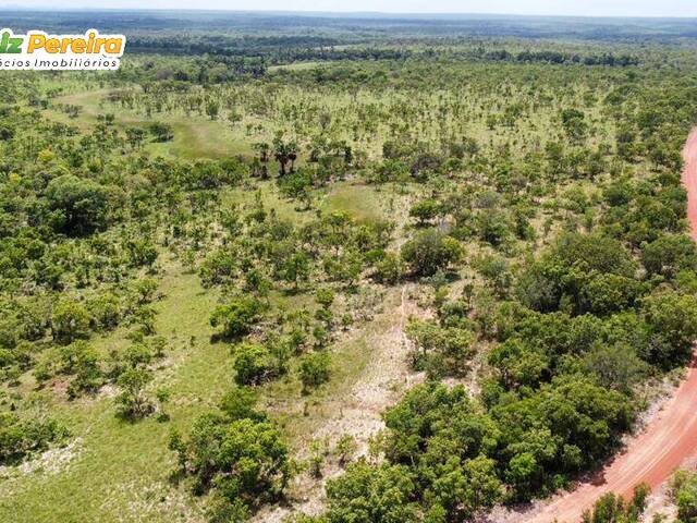 #2595 - Fazenda para Venda em Centenário - TO - 2