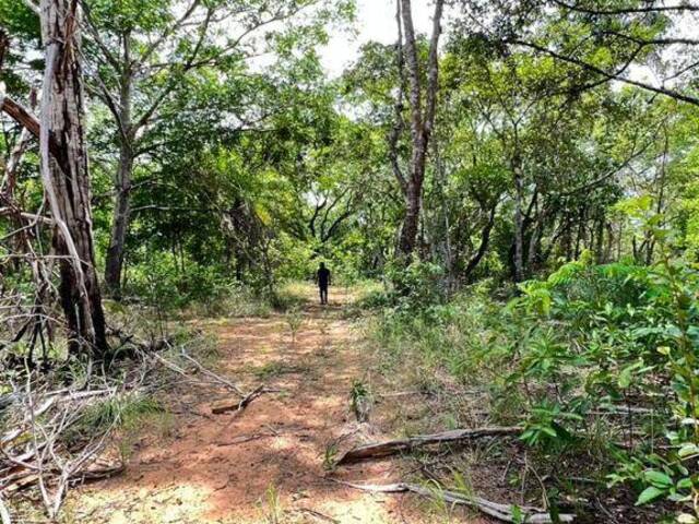 #2595 - Fazenda para Venda em Centenário - TO - 3