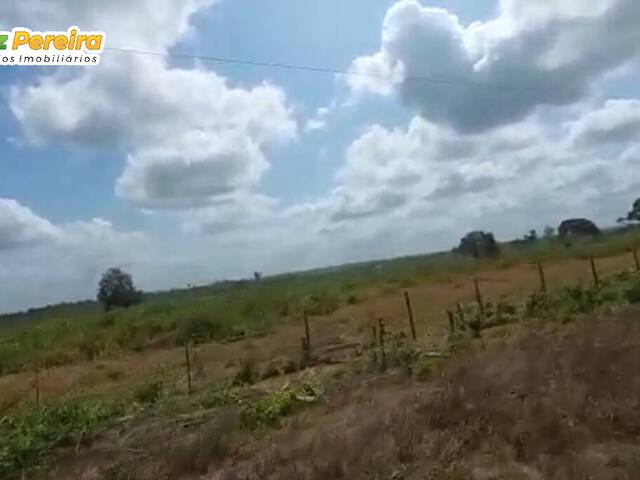 #2596 - Fazenda para Venda em Paragominas - PA - 3