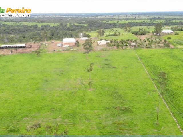 #2597 - Fazenda para Venda em Dois Irmãos do Tocantins - TO - 3