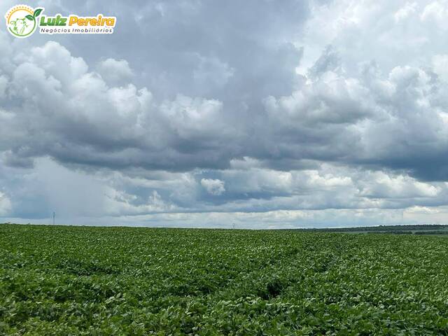 #2598 - Fazenda para Venda em Campo Grande - MS - 2