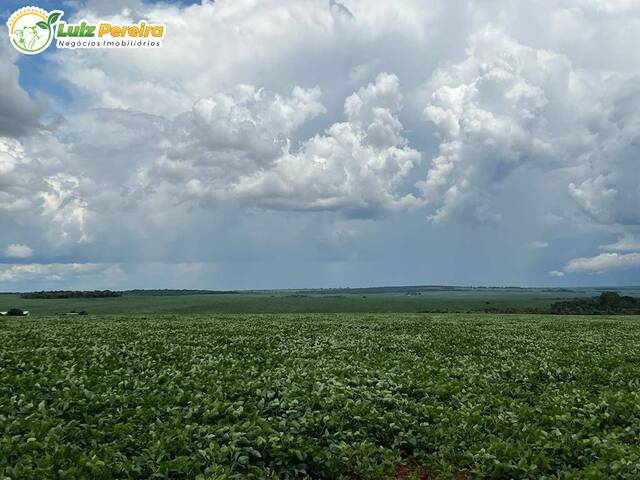 #2598 - Fazenda para Venda em Campo Grande - MS - 3