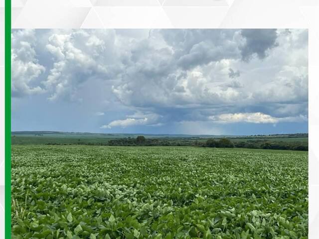 #2598 - Fazenda para Venda em Campo Grande - MS - 1