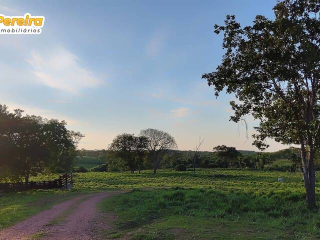 #2600 - Fazenda para Venda em Abreulândia - TO - 2