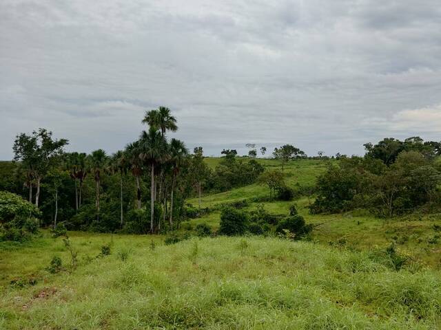 #2600 - Fazenda para Venda em Abreulândia - TO