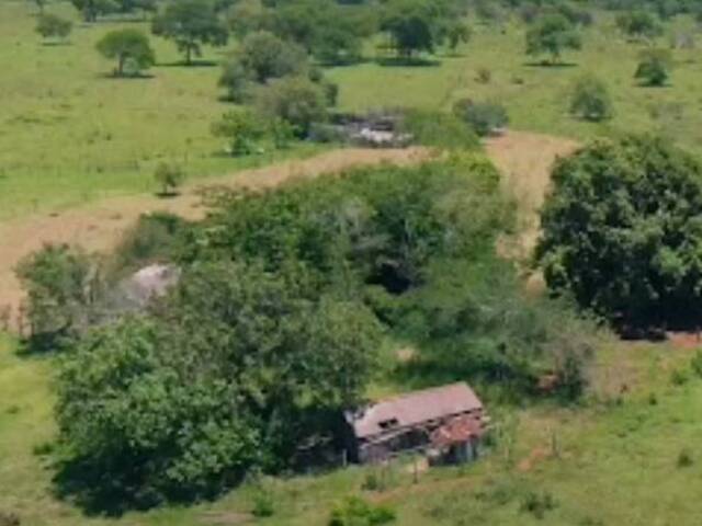 Fazenda para Venda em Bela Vista - 4