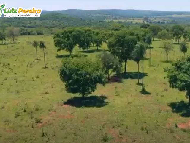 Fazenda para Venda em Bela Vista - 5