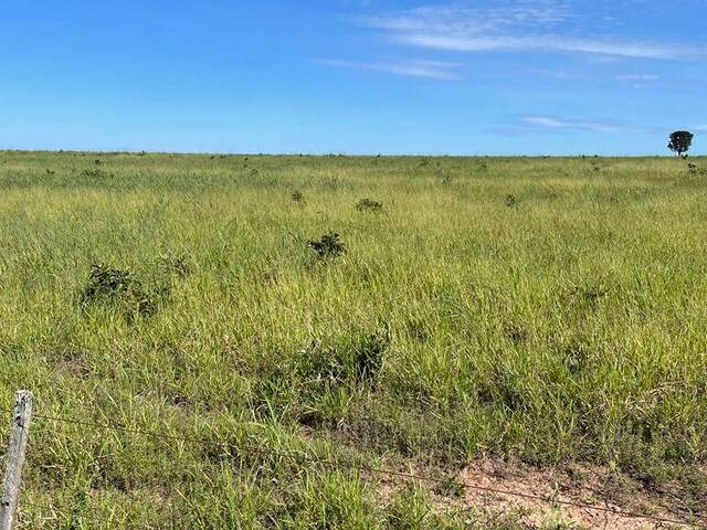 Fazenda para Venda em Primavera do Leste - 4