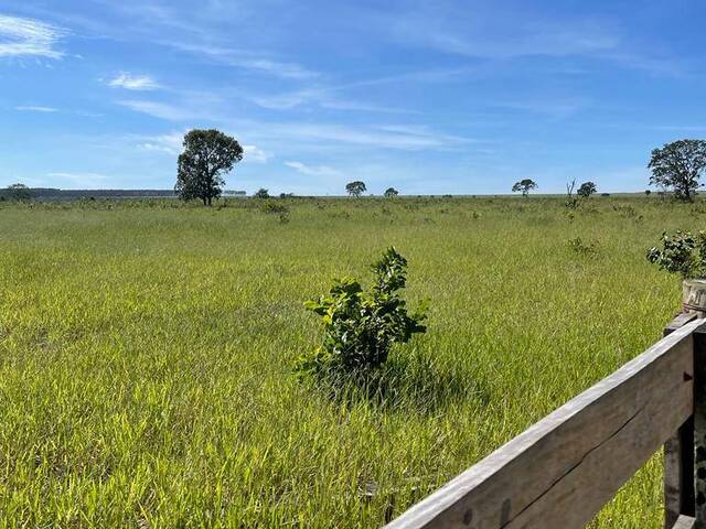 Fazenda para Venda em Primavera do Leste - 5
