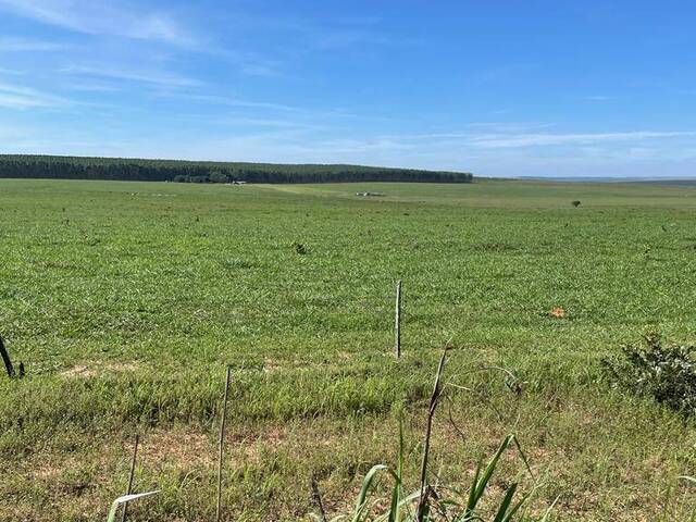 #2602 - Fazenda para Venda em Primavera do Leste - MT