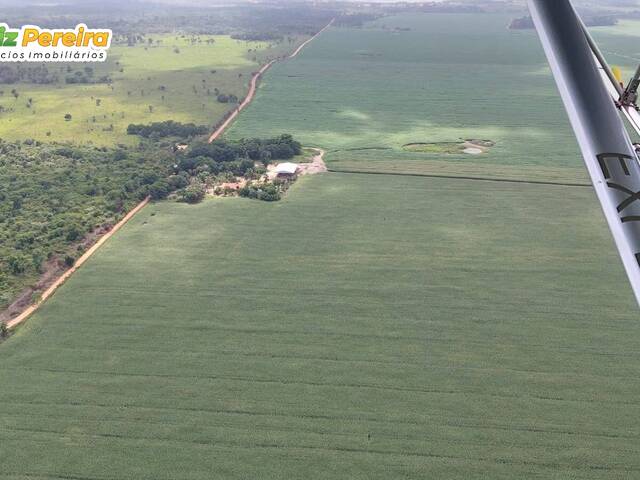 Chácara para Venda em Goianésia do Pará - 4