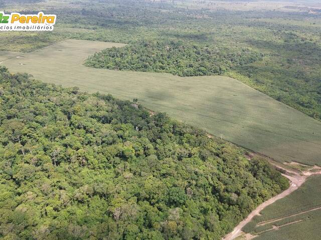 #2603 - Chácara para Venda em Goianésia do Pará - PA - 2