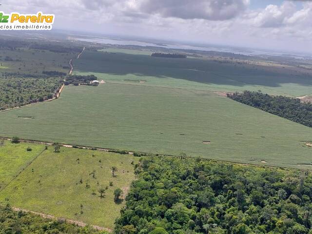 #2603 - Chácara para Venda em Goianésia do Pará - PA - 3