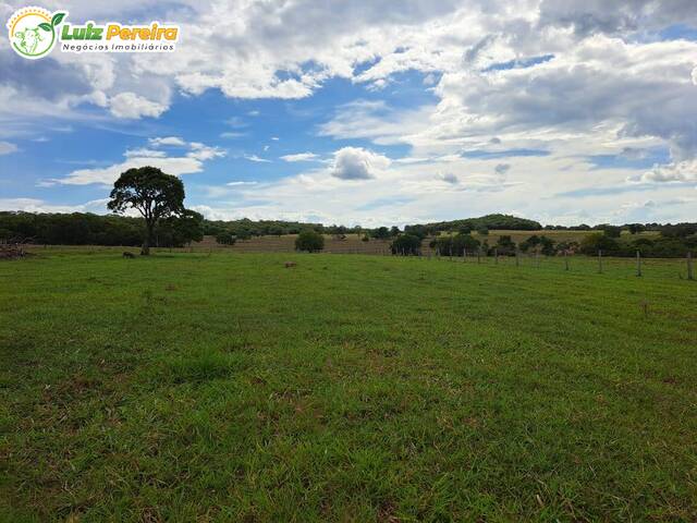 Fazenda para Venda em Rio Negro - 4