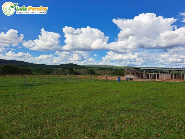 #2604 - Fazenda para Venda em Rio Negro - MS - 3